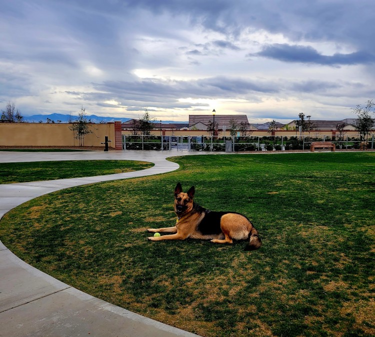Highgate dog park (Bakersfield,&nbspCA)